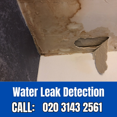 Expert Water Leak Detection Services in Walworth | Walworth Leak Detection